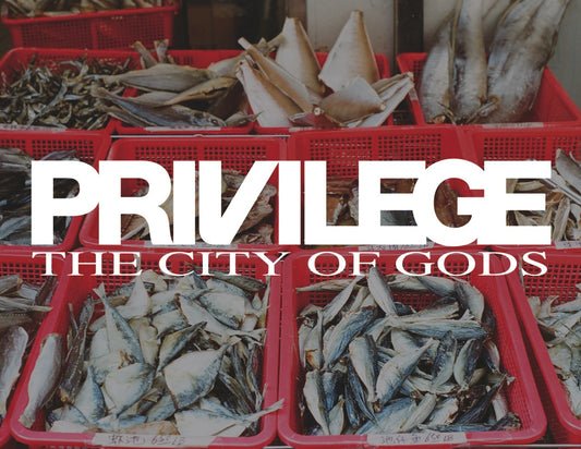 PRIVILEGE x THE CITY OF GODS LOOK BOOK