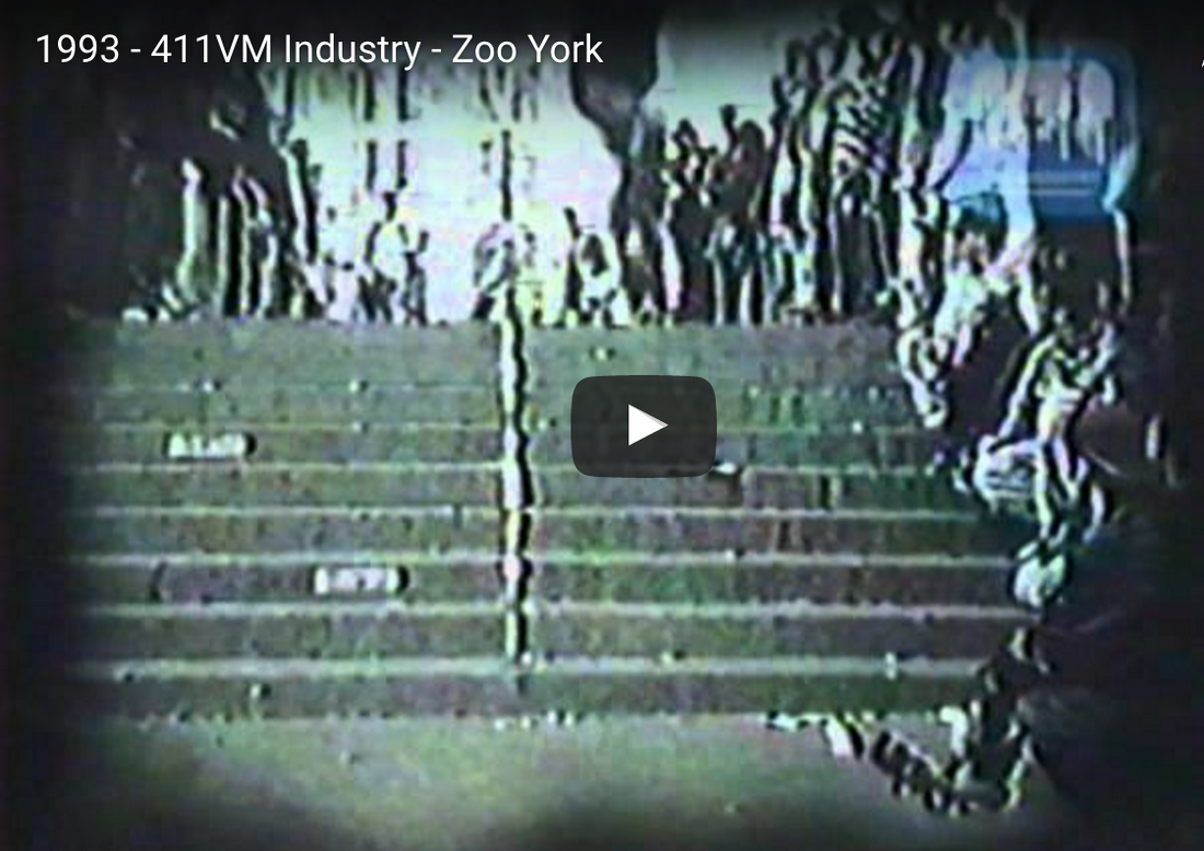 Zoo York 1993