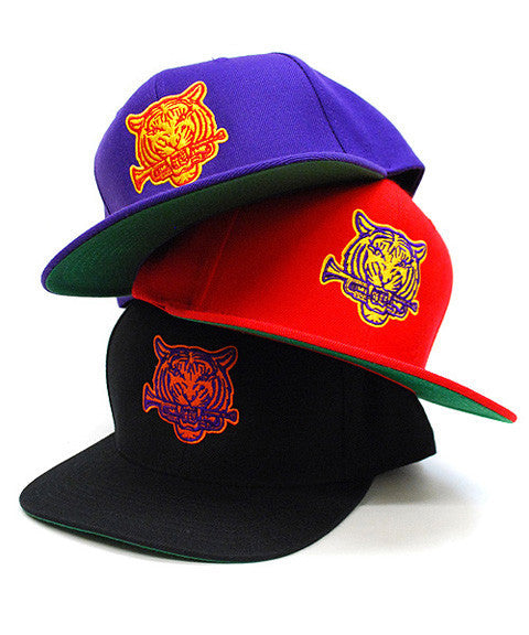 Closer Look at the ANTHEM Tiger Snapback