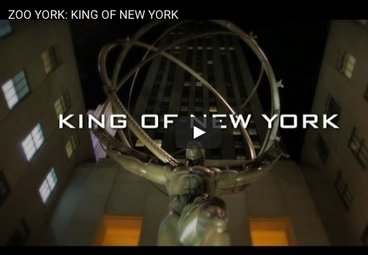 Zoo York Presents: KING OF NEW YORK Video