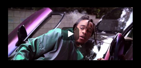 VIDEO PERRION - 405