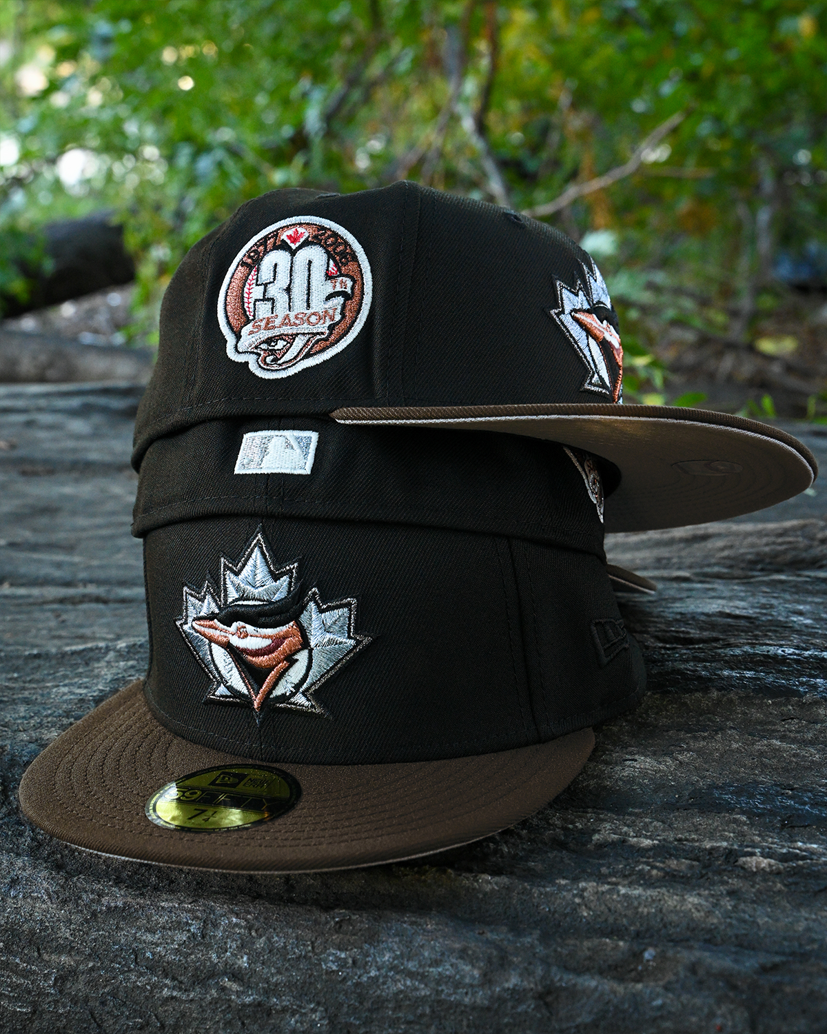 Toronto Blue Jays 30 Season Black/Walnut 59Fifty New Era