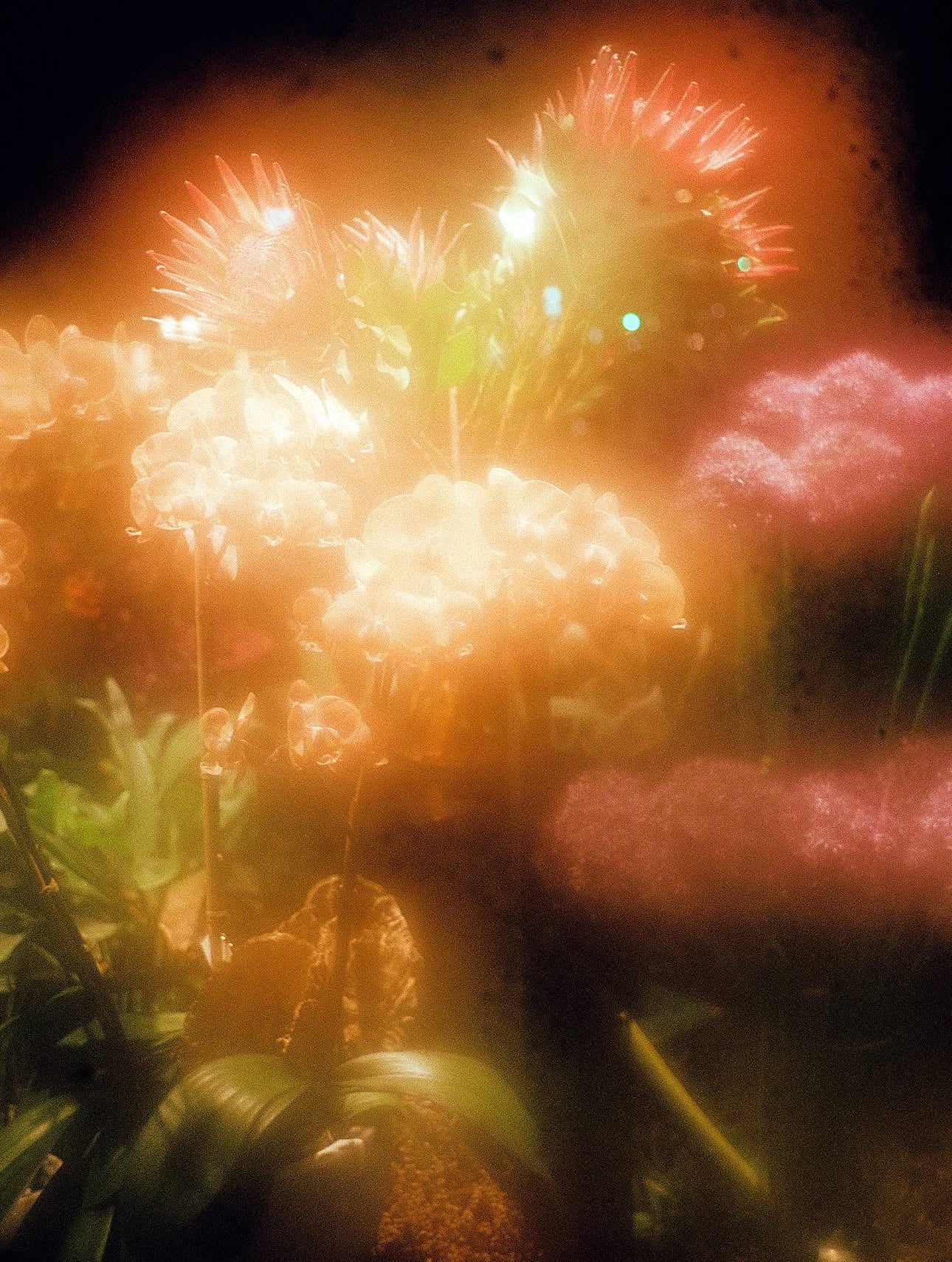 SNEEZE MAGAZINE N°66 HOLIDAY 2025