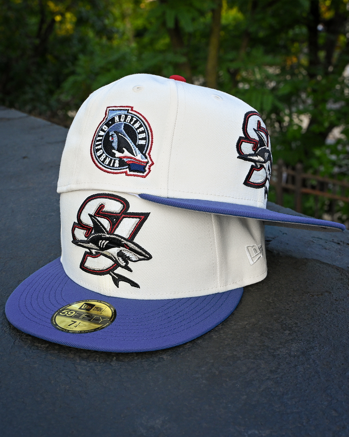 San Jose Sharks Northern California Chrome White/Indigo  59Fifty New Era